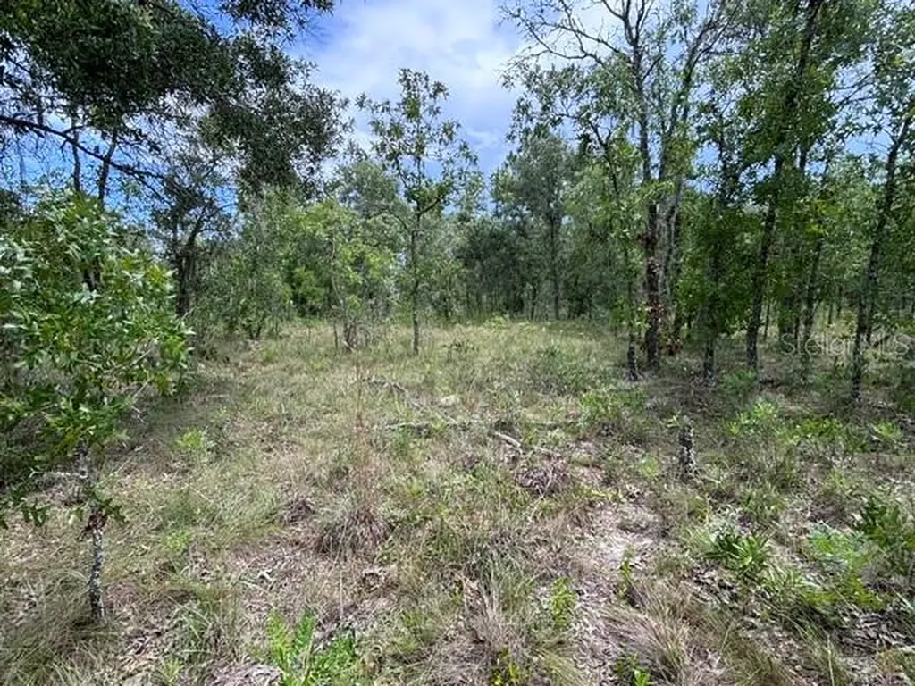 SE 16 Lane Morriston FL 32668