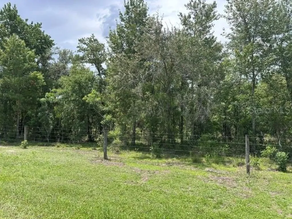 SE 16 Lane Morriston FL 32668