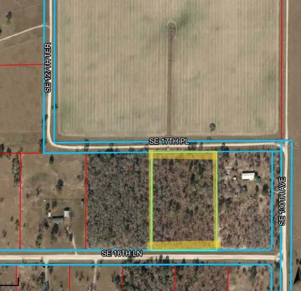 SE 16 Lane Morriston FL 32668