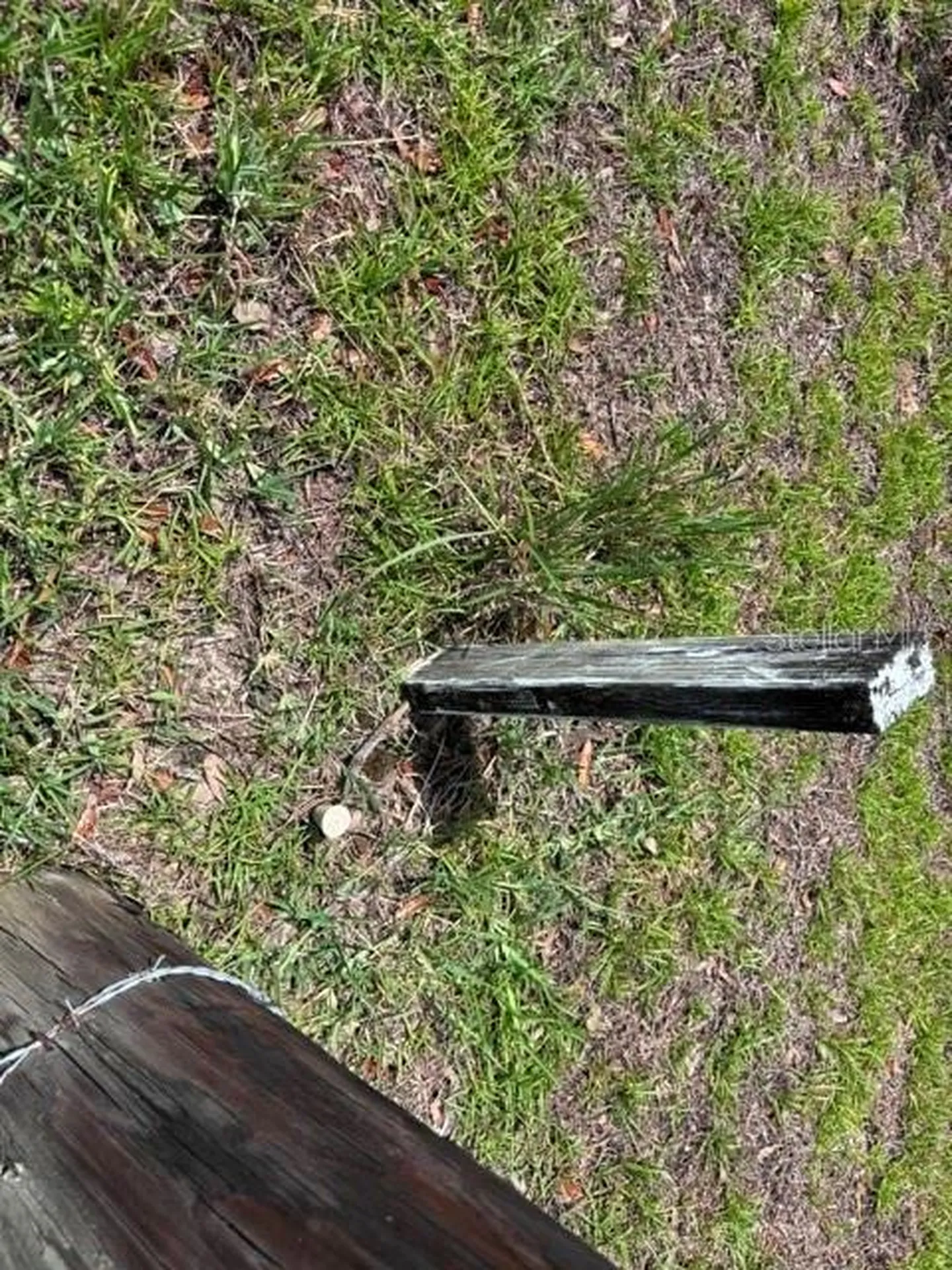 SE 16 Lane Morriston FL 32668