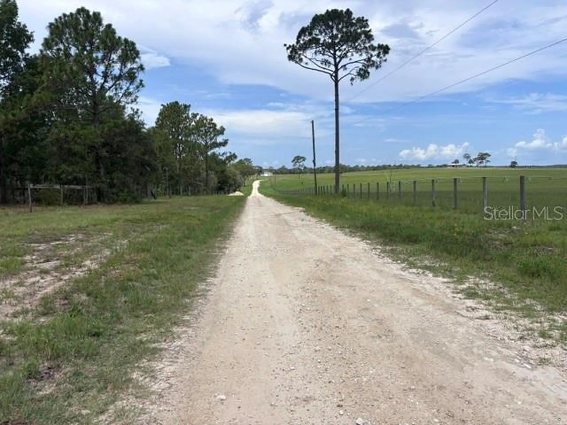SE 16 Lane Morriston FL 32668