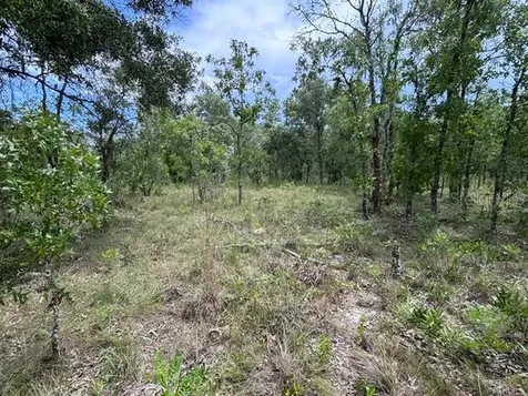 SE 16 Lane Morriston FL 32668
