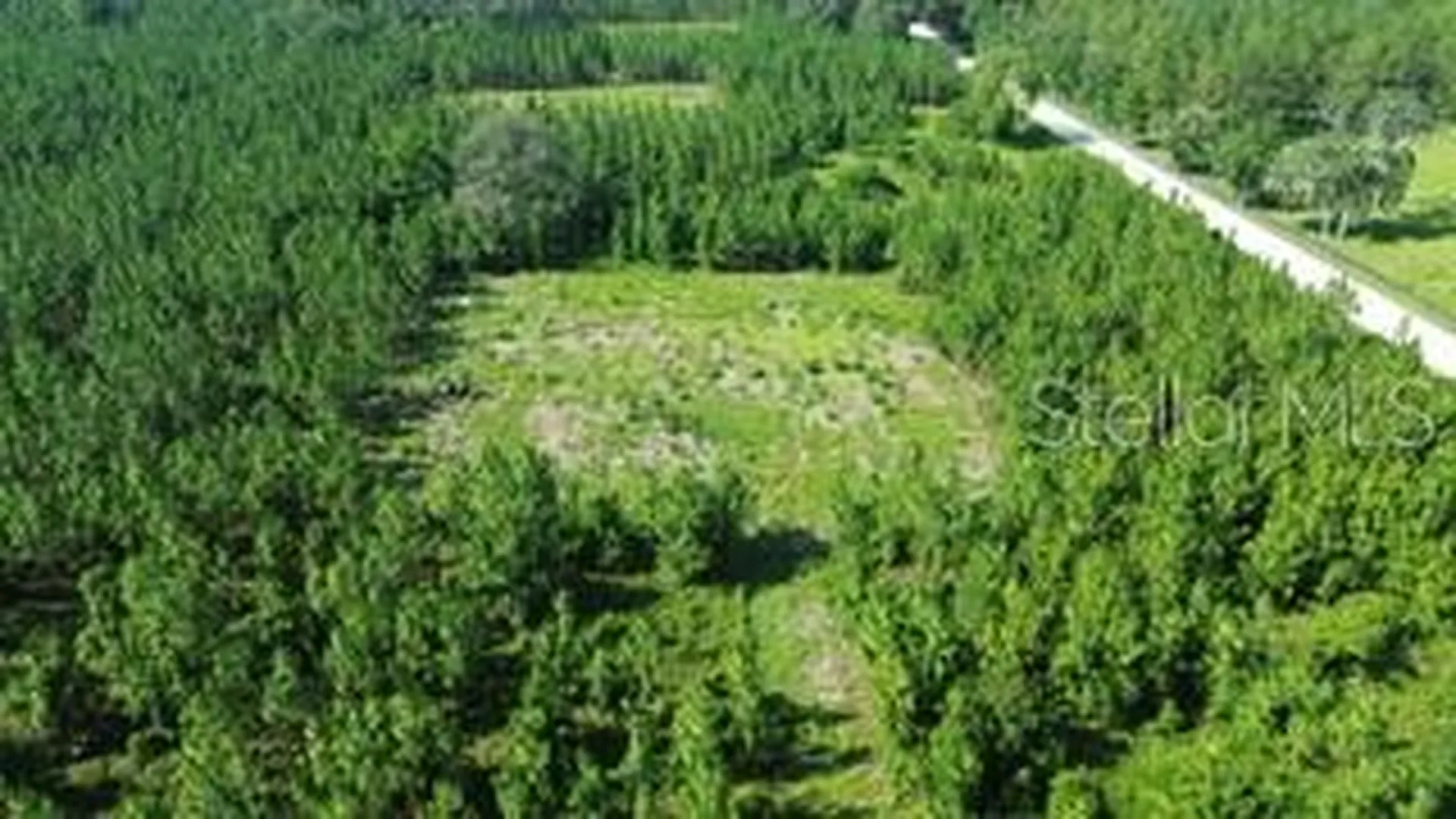 SW Carpenter Road W Lake City FL 32024