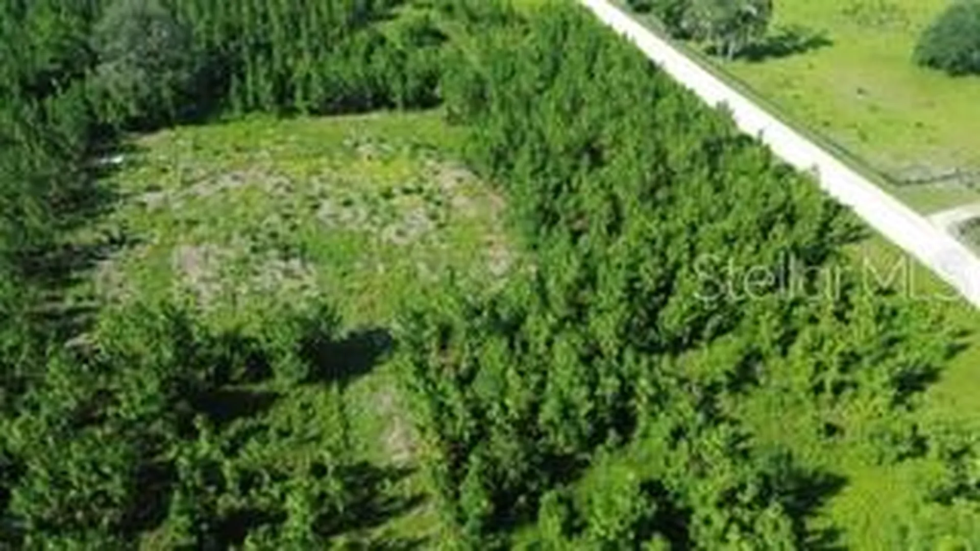 SW Carpenter Road W Lake City FL 32024