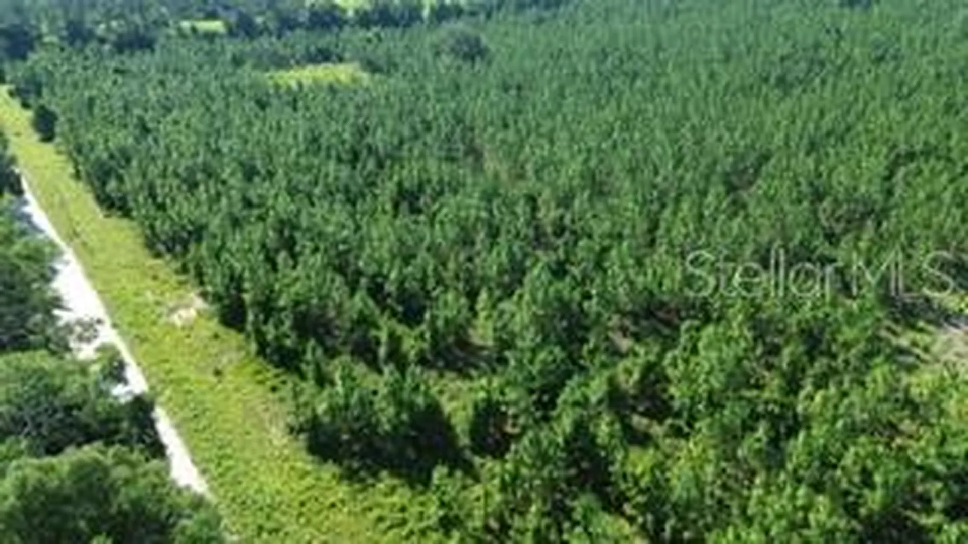 SW Carpenter Road W Lake City FL 32024
