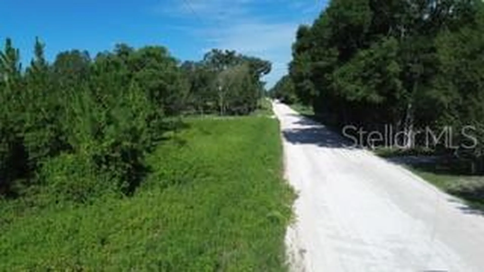 SW Carpenter Road W Lake City FL 32024