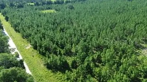 100 SW Carpenter Road W Lake City FL 32024