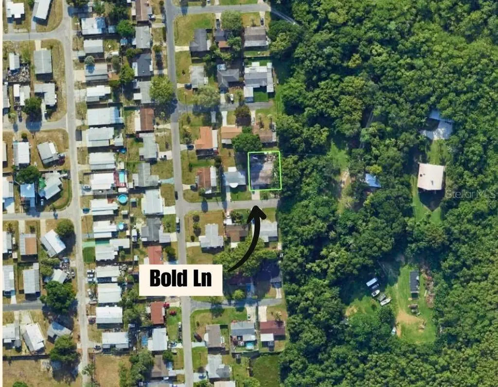 1650 Bold Lane Holiday FL 34691