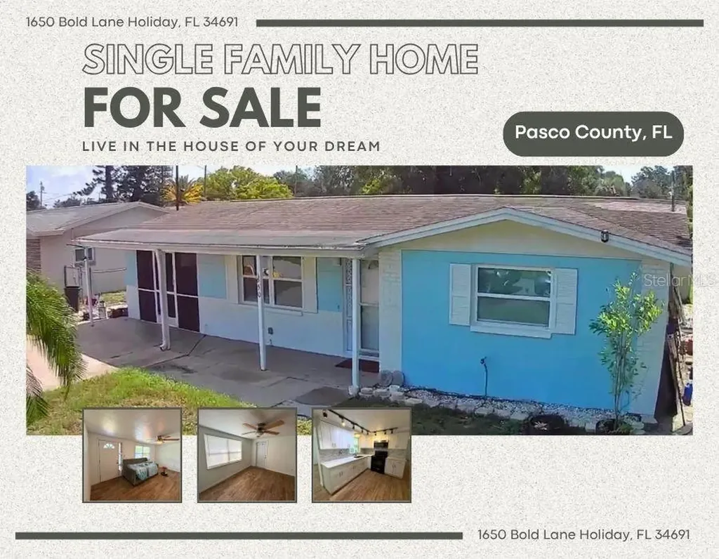 1650 Bold Lane Holiday FL 34691