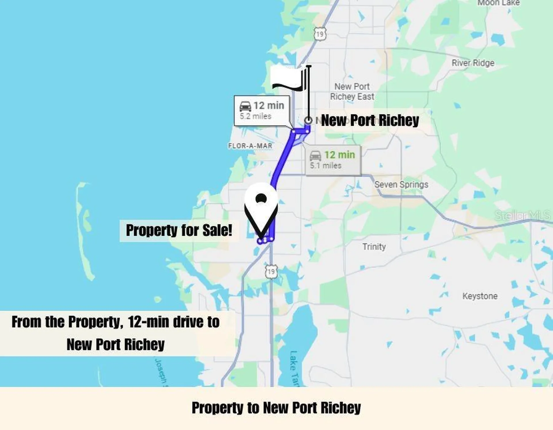 1650 Bold Lane Holiday FL 34691