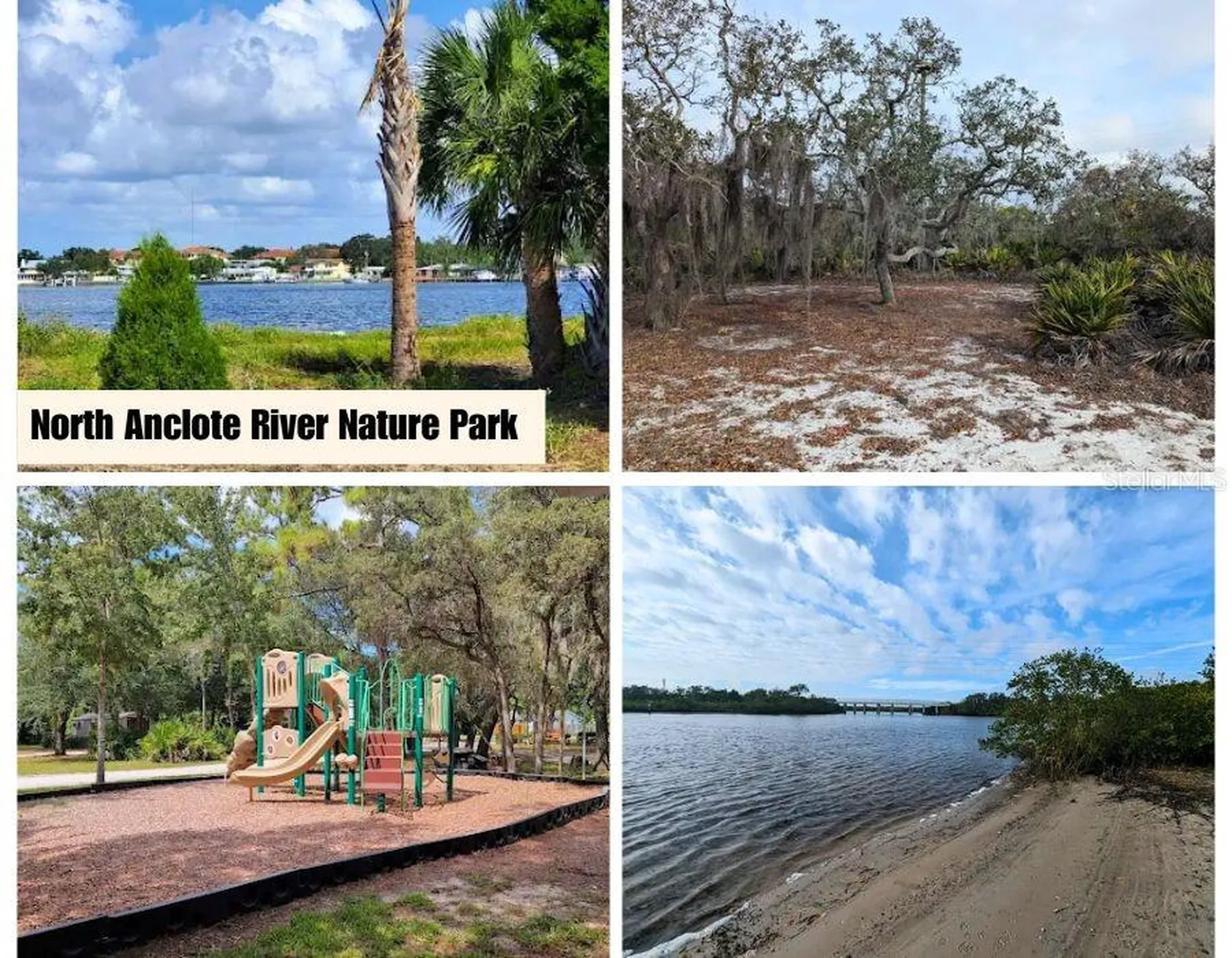 1650 Bold Lane Holiday FL 34691