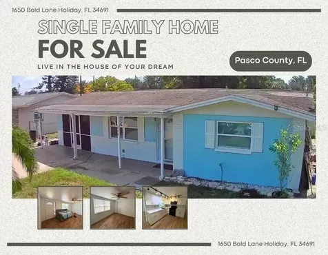 1650 Bold Lane Holiday FL 34691