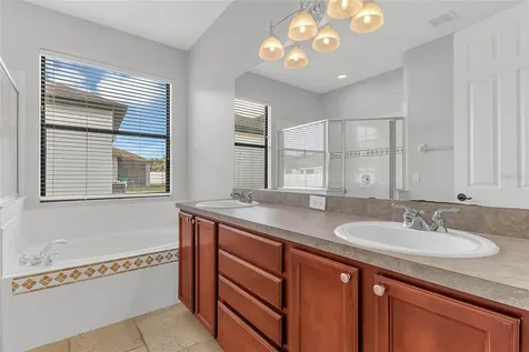 9837 Old Patina Way Orlando FL 32832