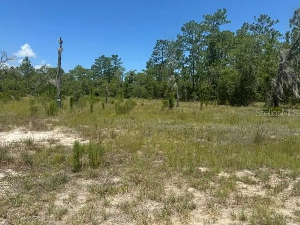 SE 134th Avenue Dunnellon FL 34431