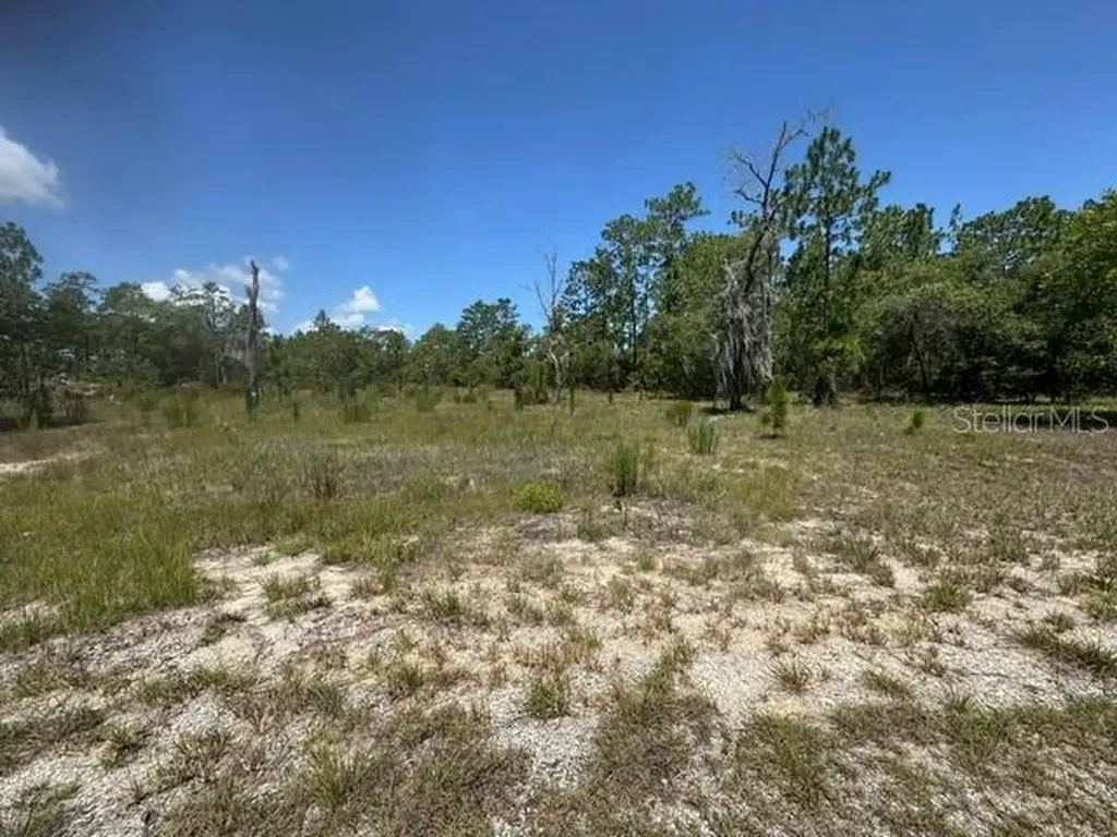 SE 134th Avenue Dunnellon FL 34431