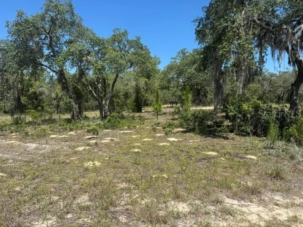 SE 134th Avenue Dunnellon FL 34431