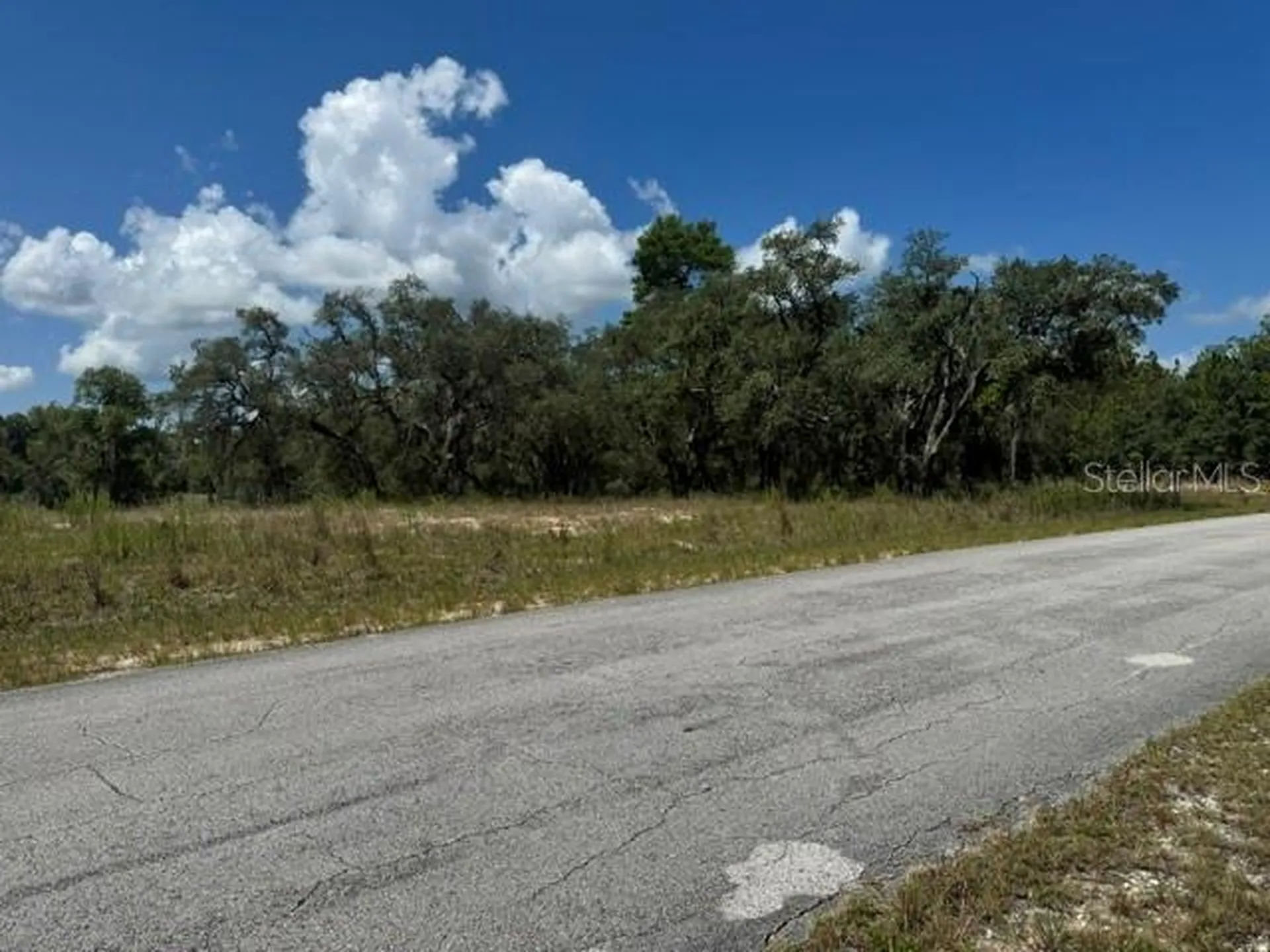 SE 134th Avenue Dunnellon FL 34431