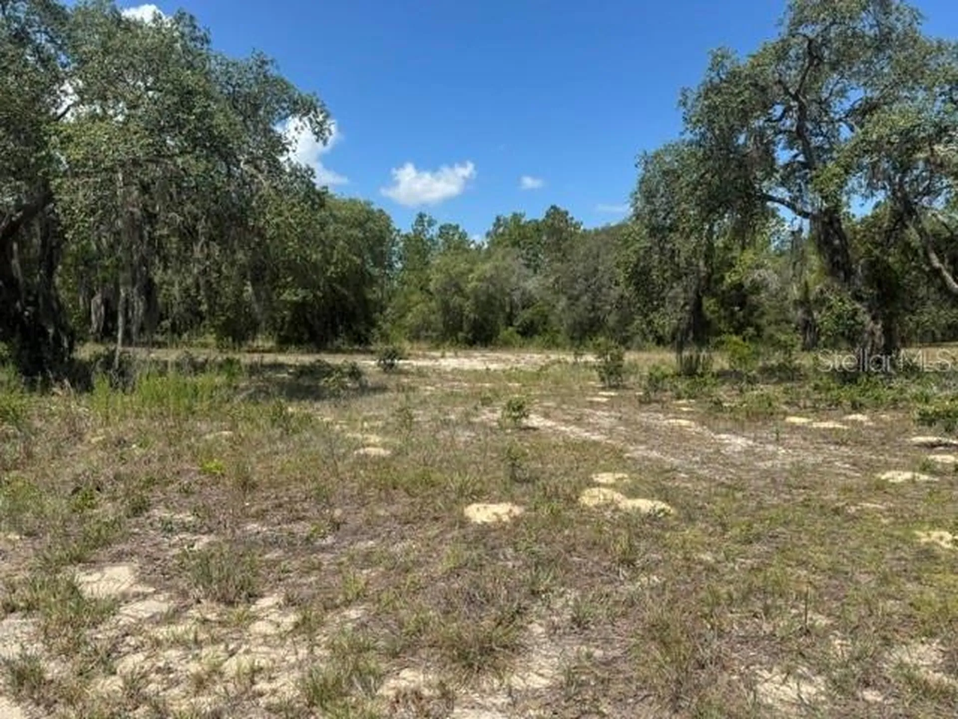 SE 134th Avenue Dunnellon FL 34431