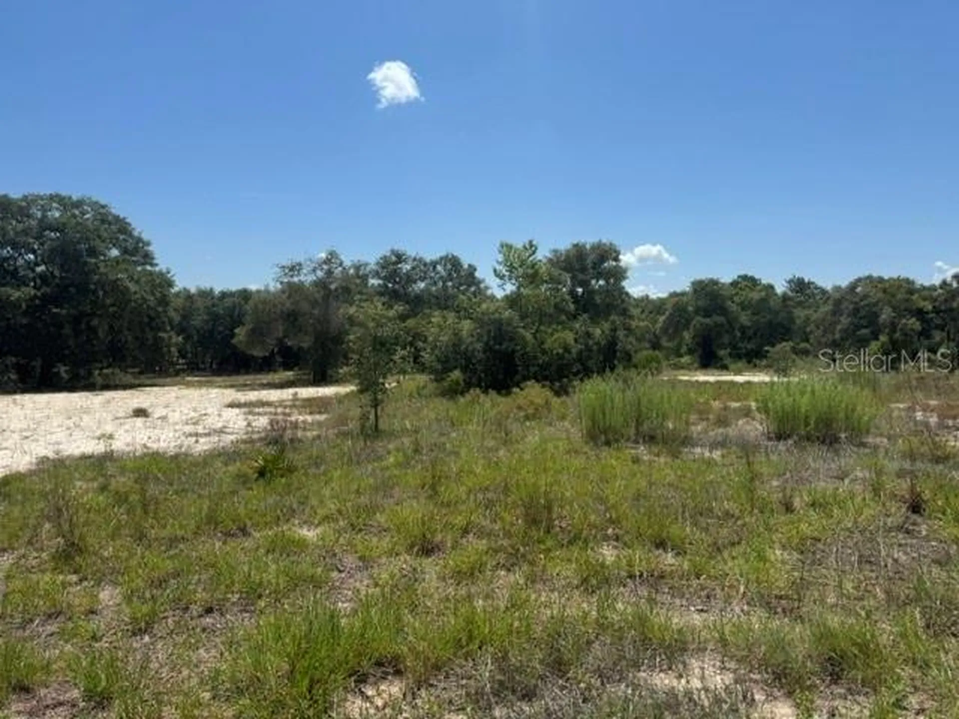 SE 134th Avenue Dunnellon FL 34431