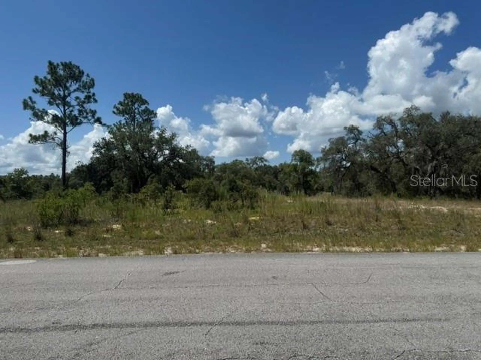 SE 134th Avenue Dunnellon FL 34431