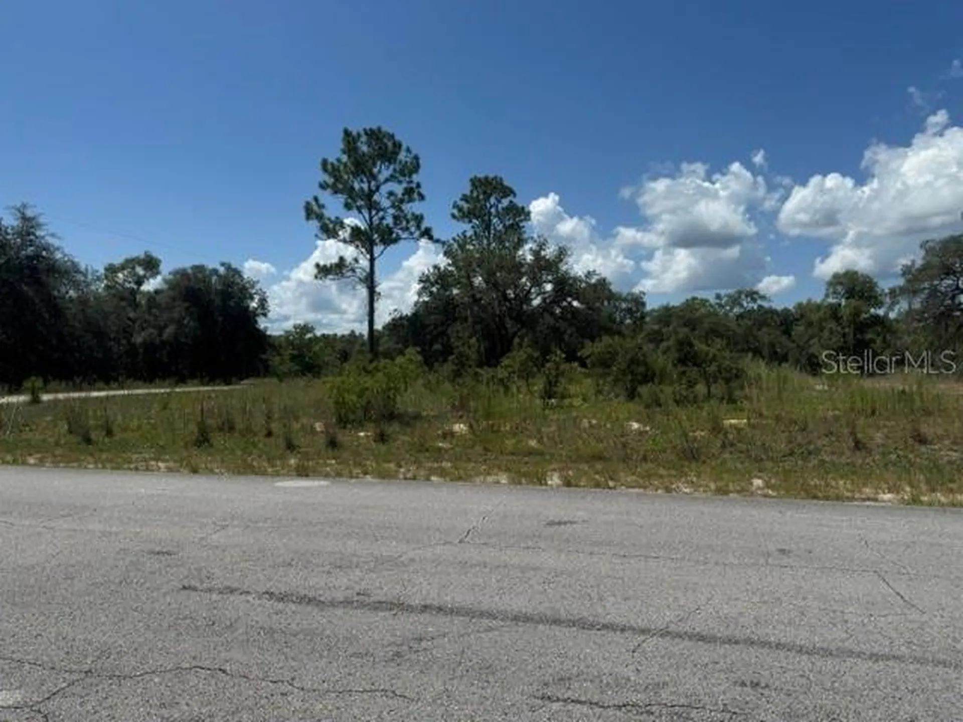 SE 134th Avenue Dunnellon FL 34431