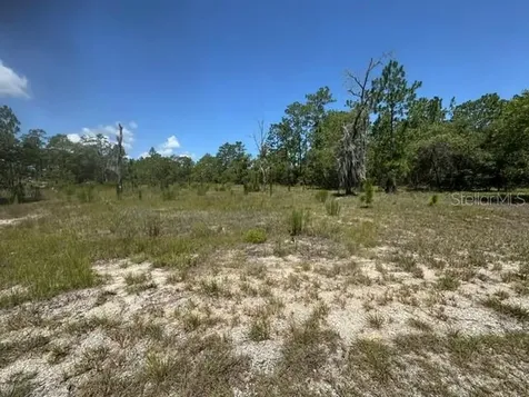 SE 134th Avenue Dunnellon FL 34431