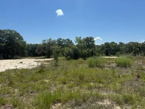 SE 134th Avenue Dunnellon FL 34431