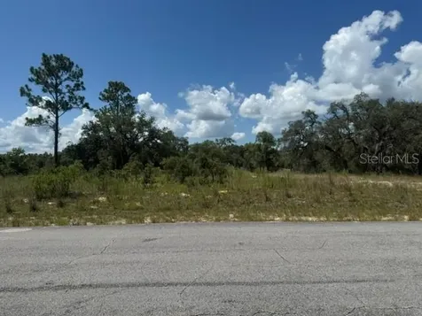 SE 134th Avenue Dunnellon FL 34431