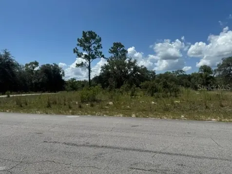 SE 134th Avenue Dunnellon FL 34431