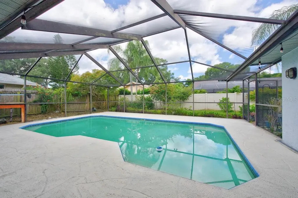 1111 Knollwood Drive Safety Harbor FL 34695