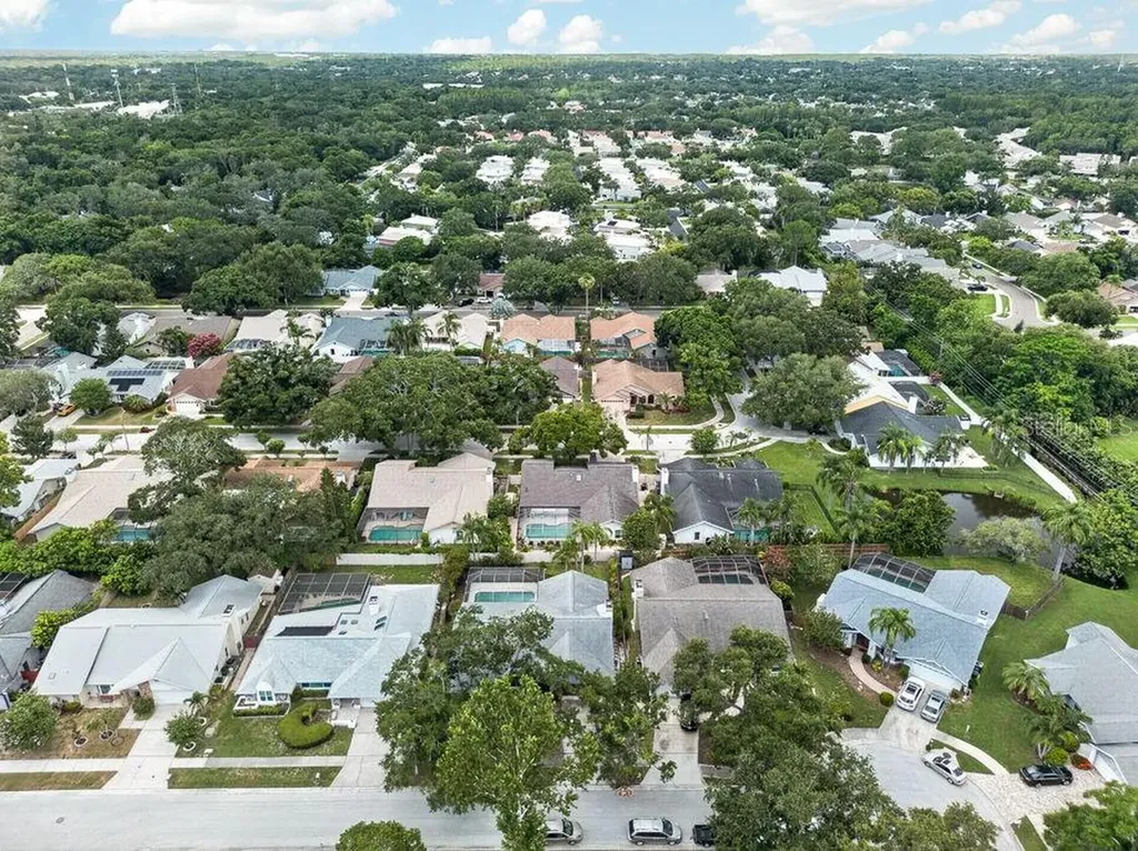 1111 Knollwood Drive Safety Harbor FL 34695