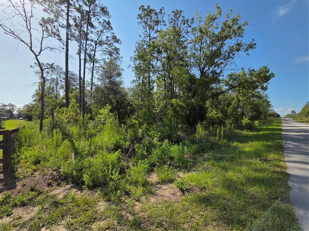 Lot 37 SW Hunter Hill Avenue Dunnellon FL 34431