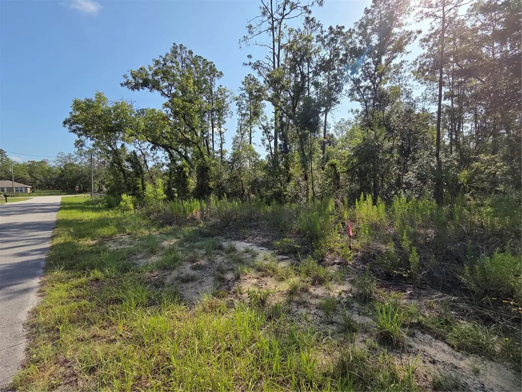 Lot 37 SW Hunter Hill Avenue Dunnellon FL 34431