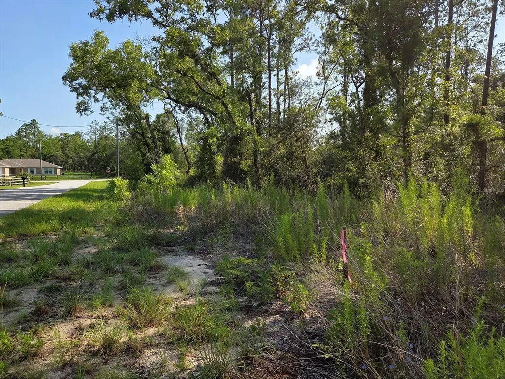Lot 37 SW Hunter Hill Avenue Dunnellon FL 34431
