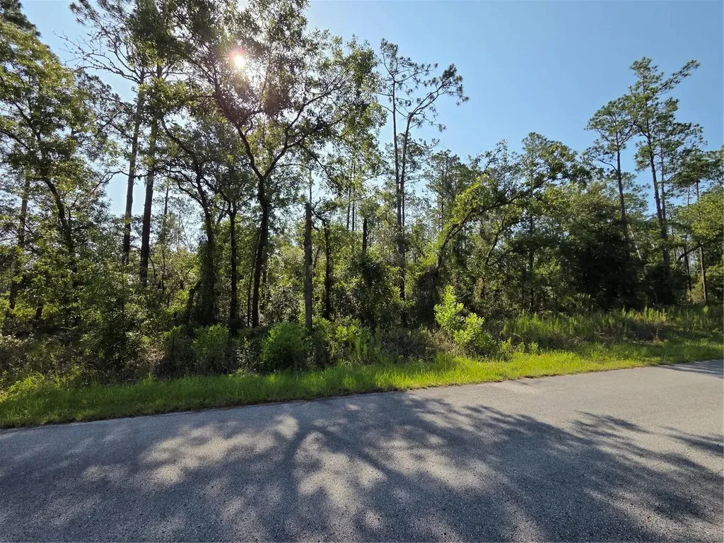 Lot 37 SW Hunter Hill Avenue Dunnellon FL 34431