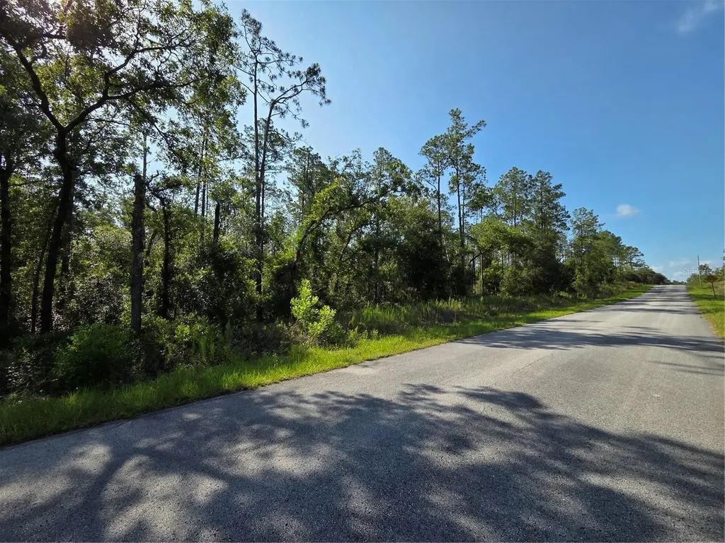 Lot 37 SW Hunter Hill Avenue Dunnellon FL 34431