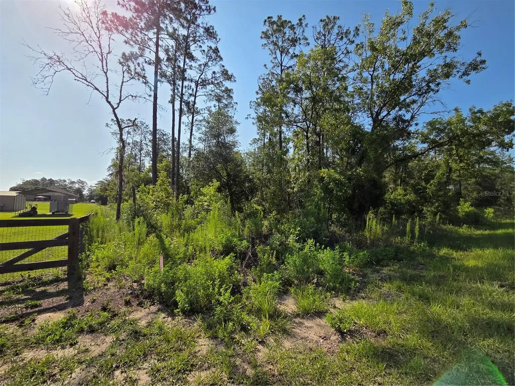 Lot 37 SW Hunter Hill Avenue Dunnellon FL 34431