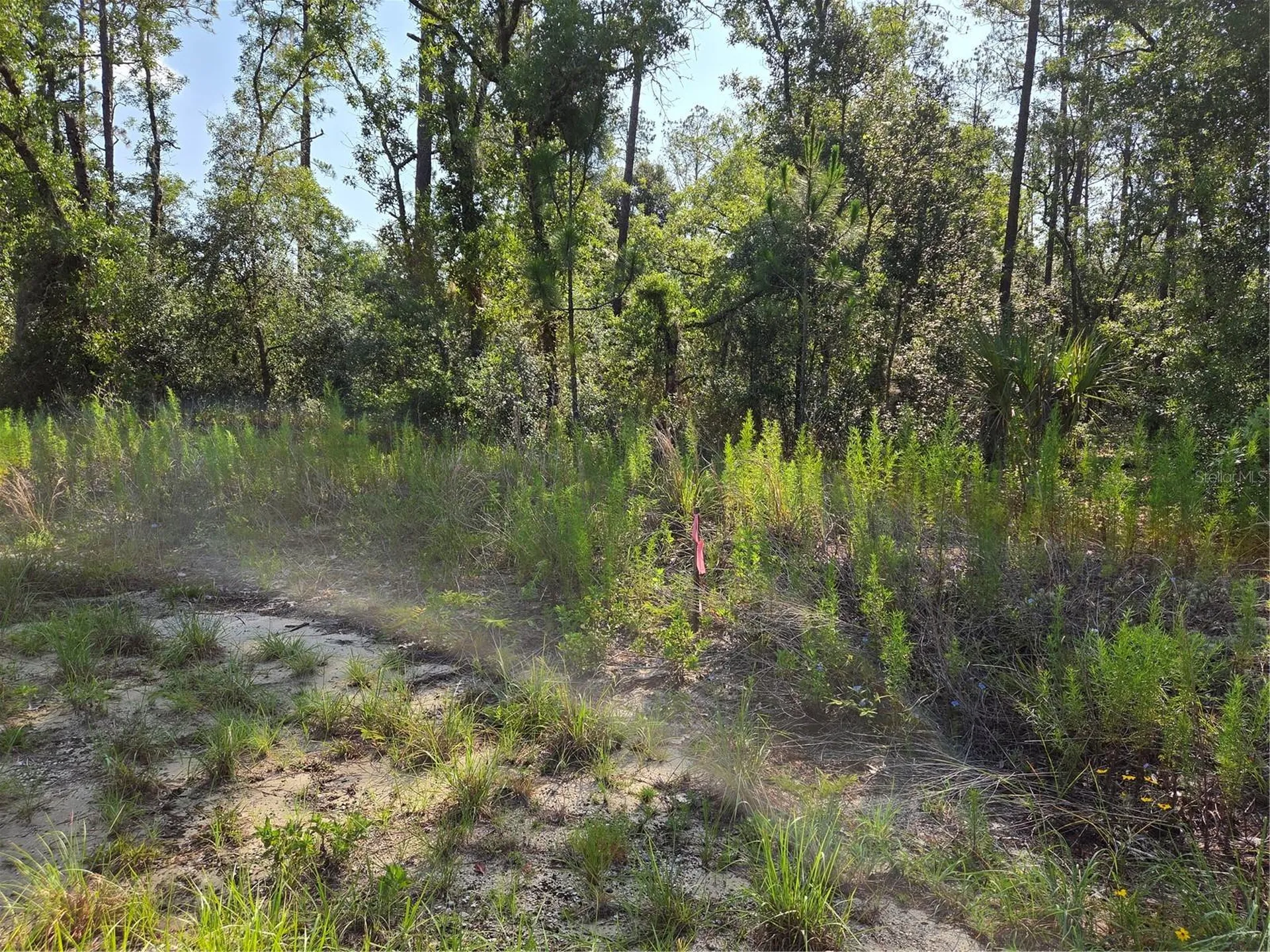Lot 37 SW Hunter Hill Avenue Dunnellon FL 34431