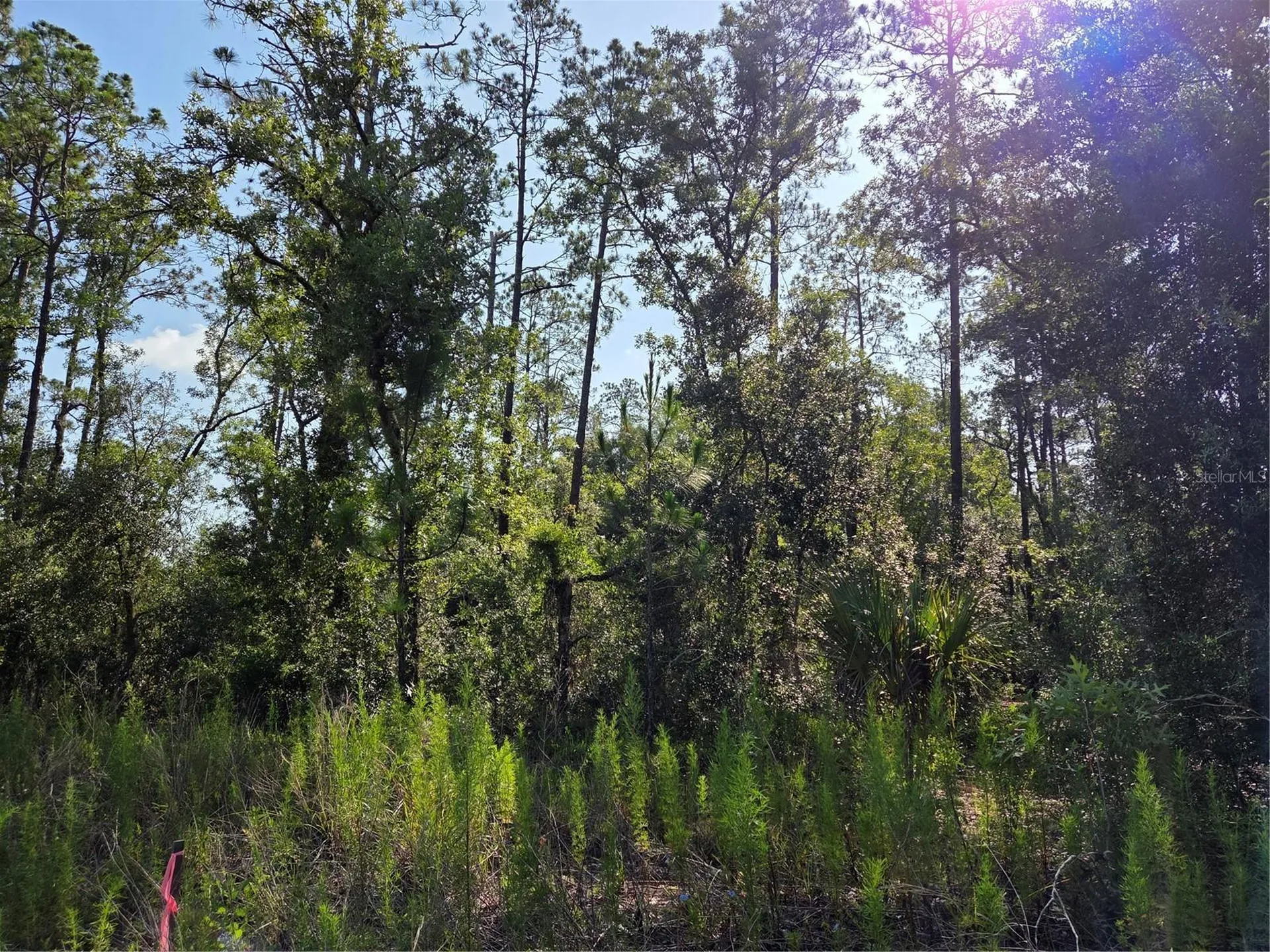 Lot 37 SW Hunter Hill Avenue Dunnellon FL 34431