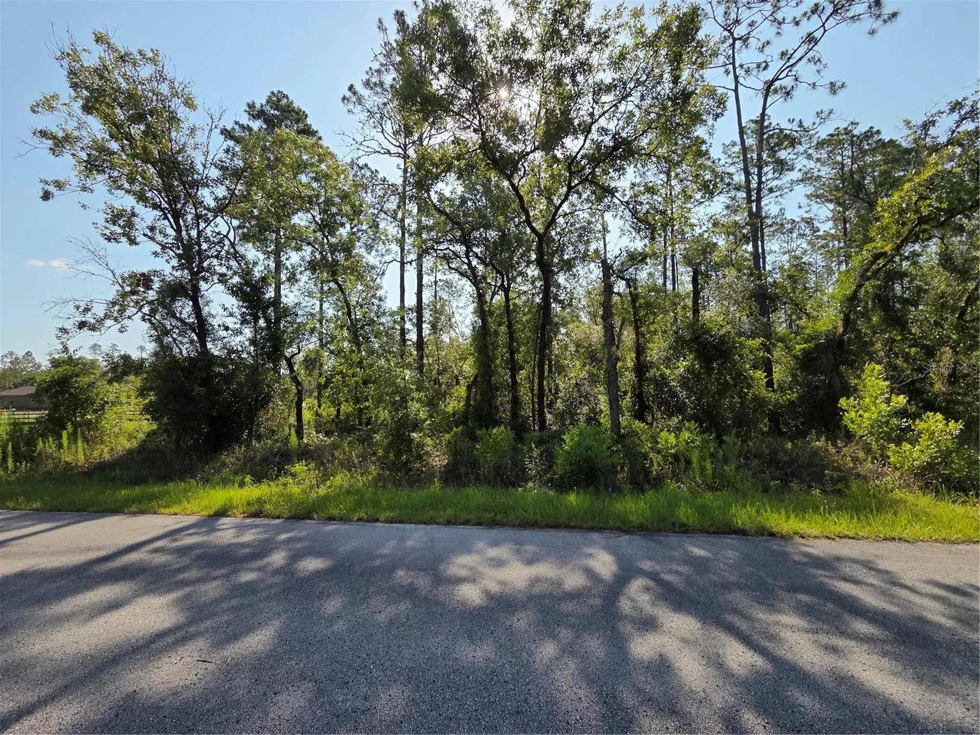 Lot 37 SW Hunter Hill Avenue Dunnellon FL 34431