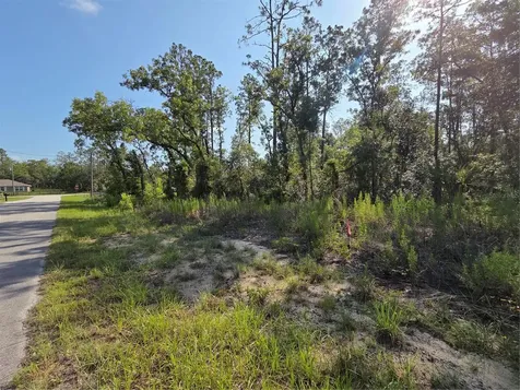 Lot 37 SW Hunter Hill Avenue Dunnellon FL 34431