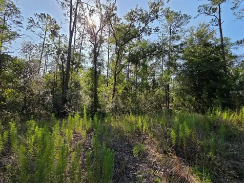 Lot 37 SW Hunter Hill Avenue Dunnellon FL 34431