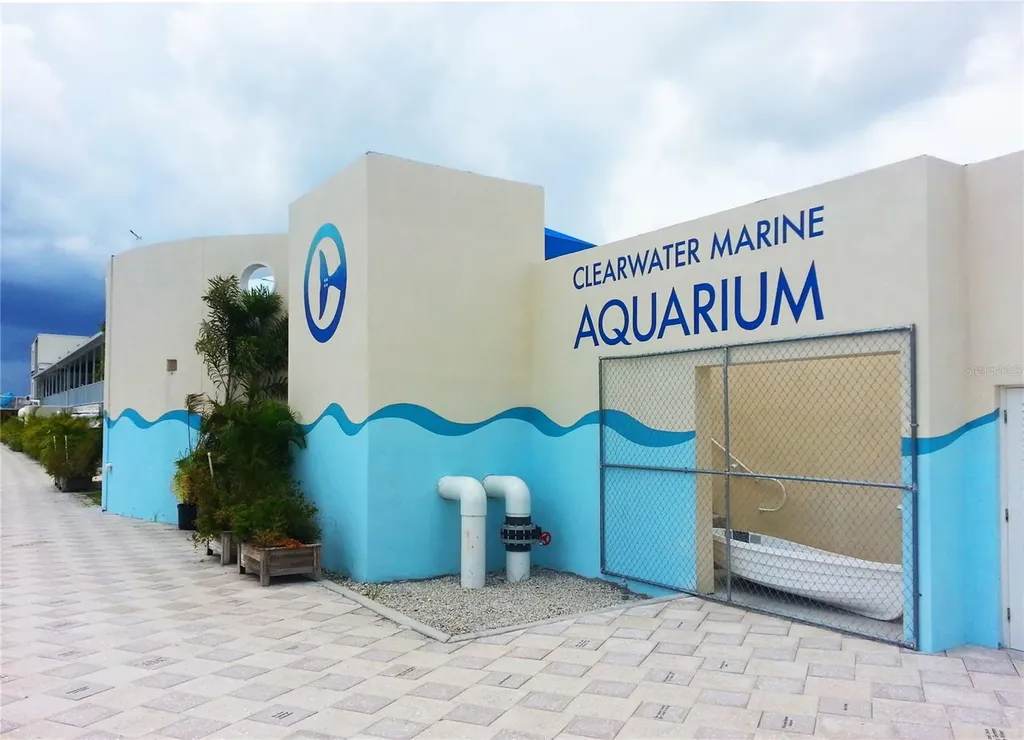 101 Harrison Avenue Belleair Beach FL 33786
