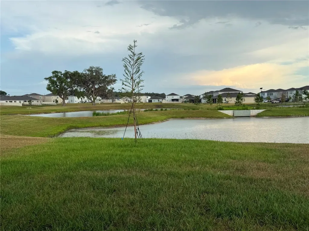 32955 Osprey Peak Way San Antonio FL 33576
