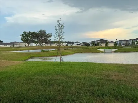 32955 Osprey Peak Way San Antonio FL 33576