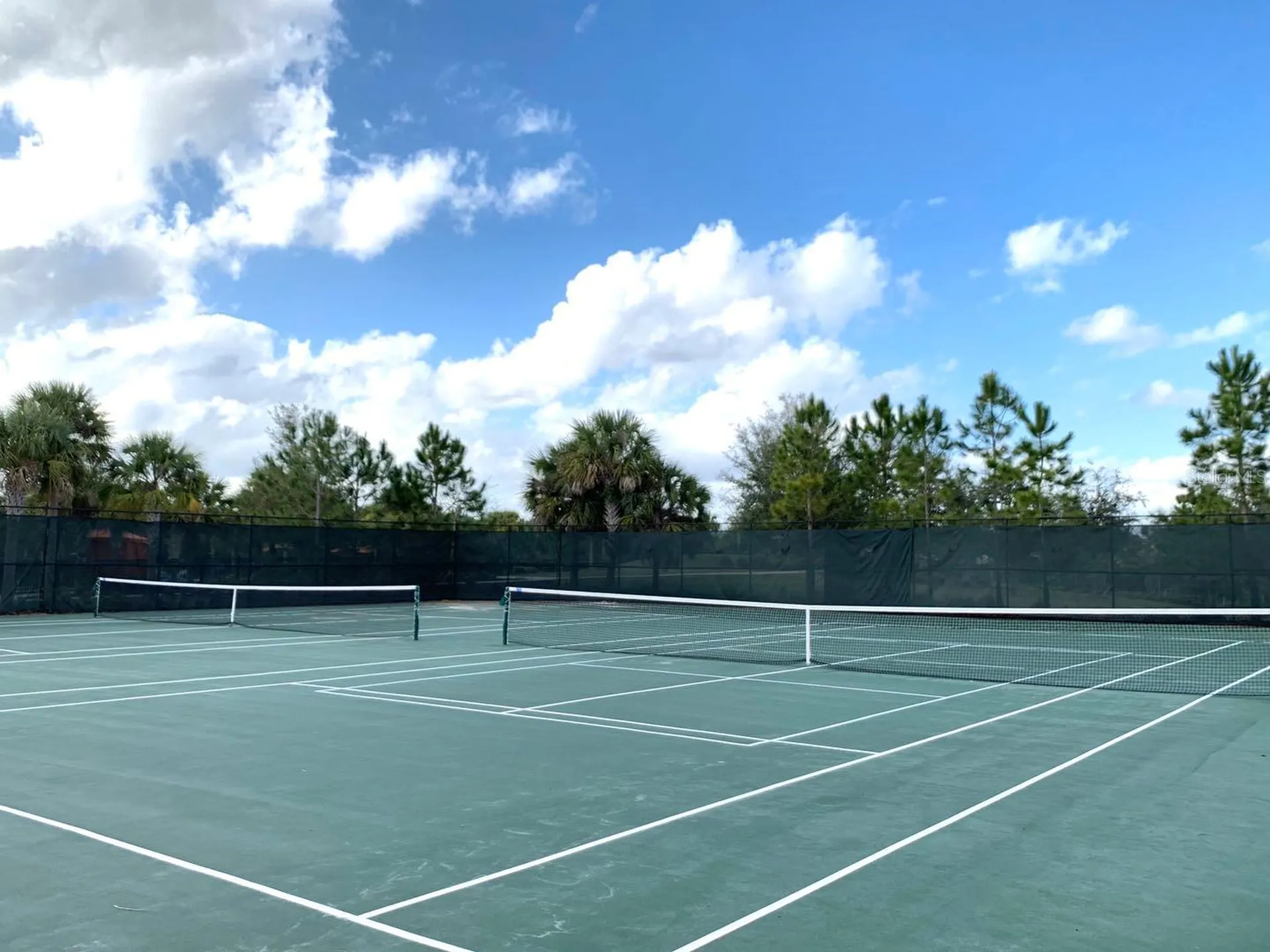 1512 Oak Marsh Loop Davenport FL 33837