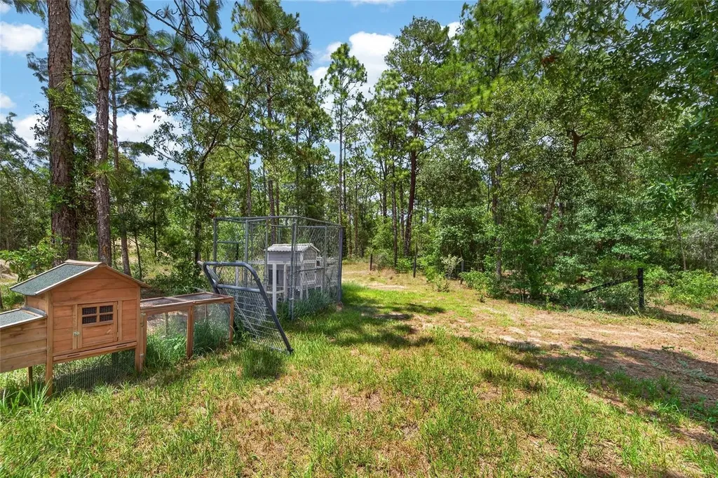 6144 Drew Street Brooksville FL 34604