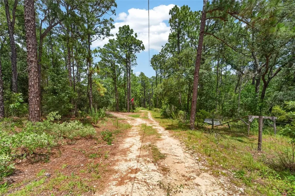 6144 Drew Street Brooksville FL 34604