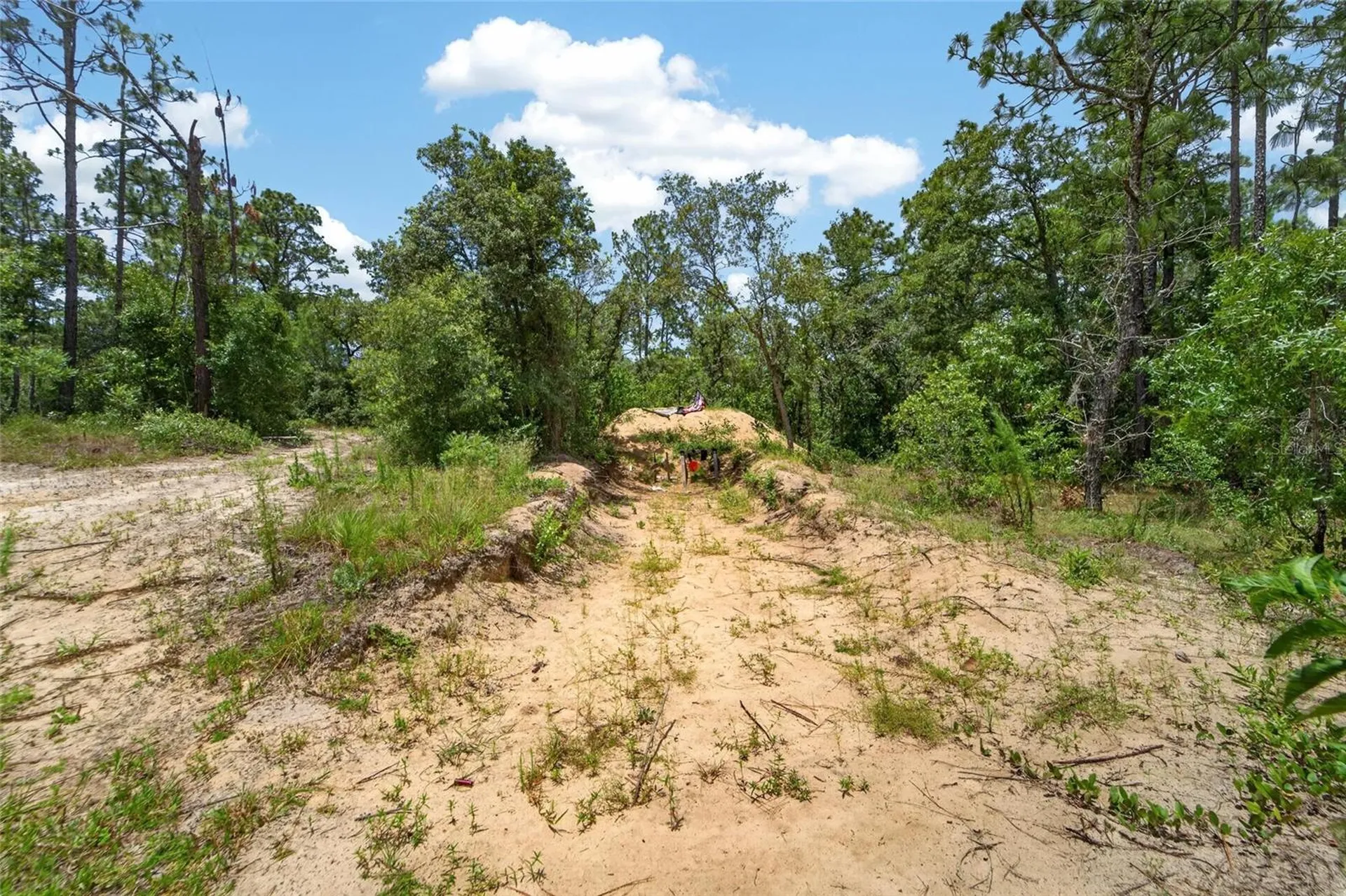 6144 Drew Street Brooksville FL 34604
