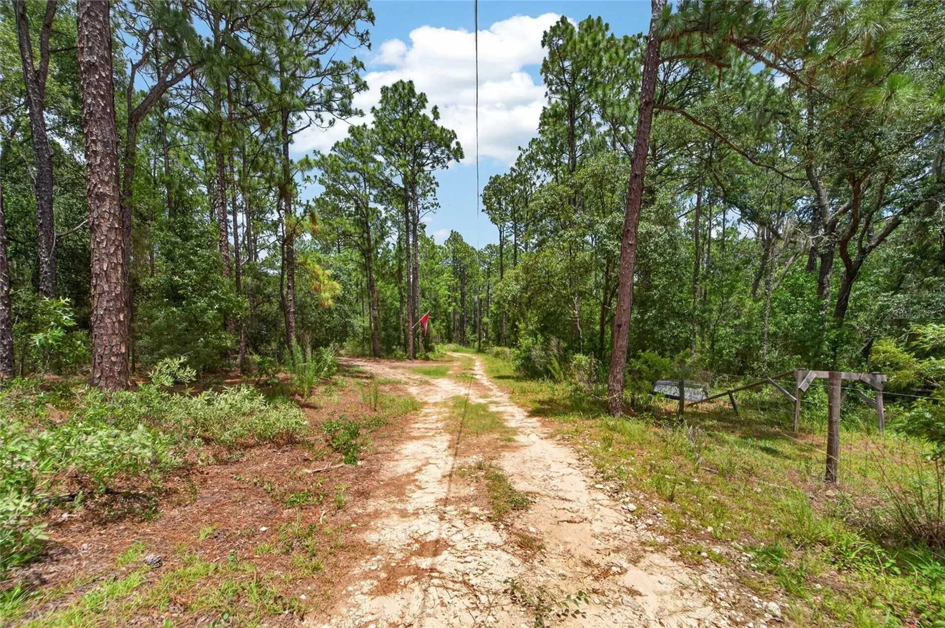 6144 Drew Street Brooksville FL 34604